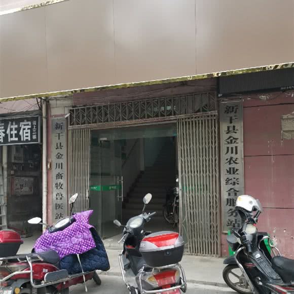 新干县金川畜牧兽医站:吉安市新干县