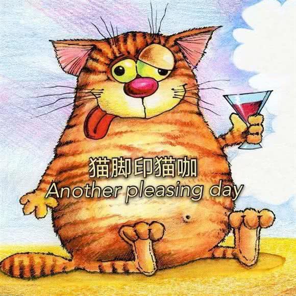 猫脚印猫咖(海亮店):呼和浩特市回民区海亮附近