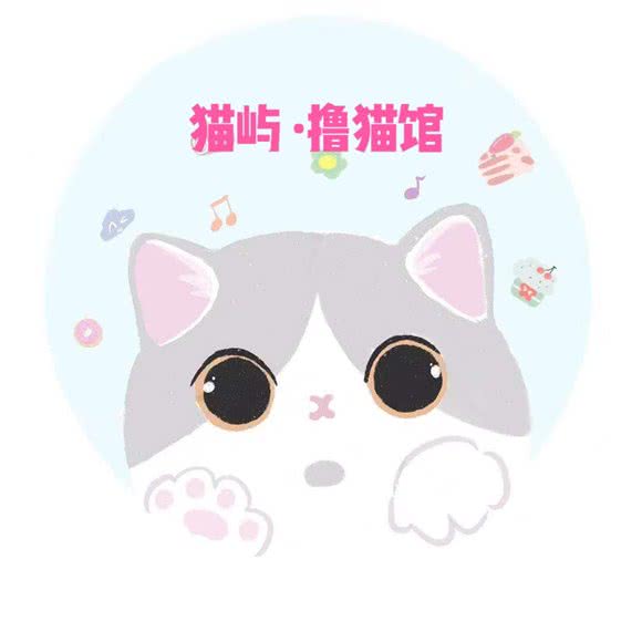猫屿?撸猫馆:宜春市袁州区