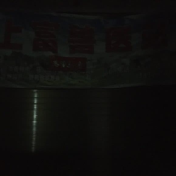 上富兽医站:宜春市奉新县