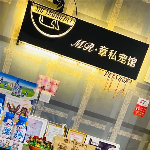 MR·章私宠馆(猫狗萌宠专卖及售后一体店):北京城区朝阳区慈云寺/八里庄附近