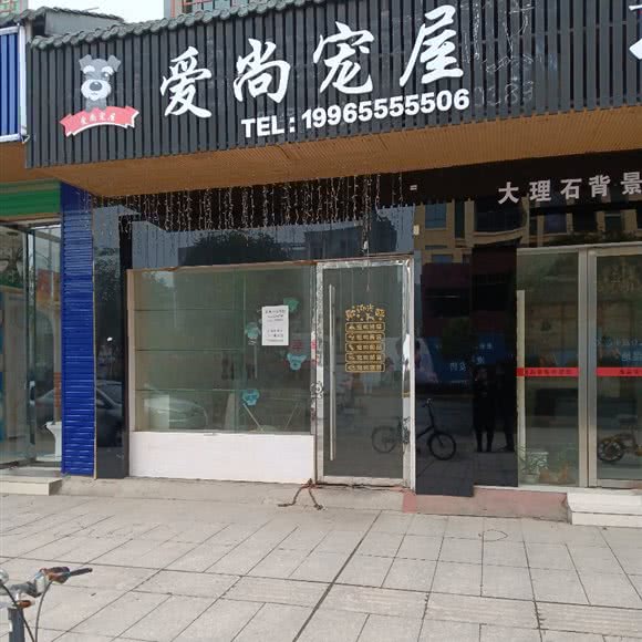 爱尚宠屋:宜春市铜鼓县