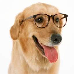 爱宠生活馆:宜春市丰城市