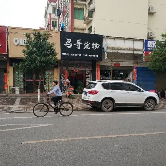 马哥宠物诊所:宜春市樟树市