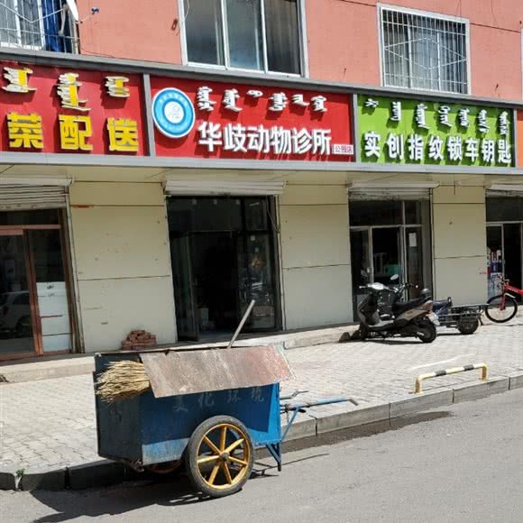 华歧动物诊所(公园店):呼和浩特市回民区中山西路附近