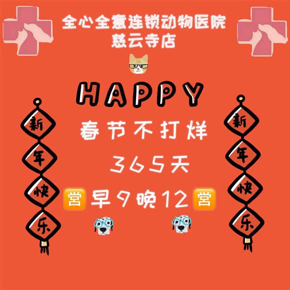 全心全意连锁动物医院(慈云寺店):北京城区朝阳区慈云寺/八里庄附近