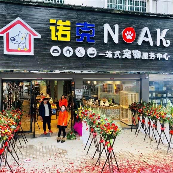 诺克宠物:上饶市信州区