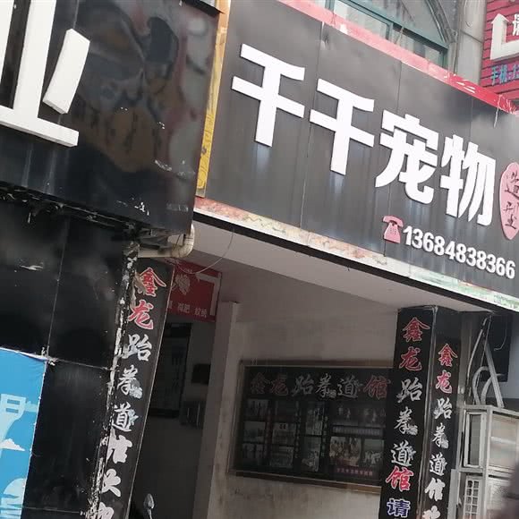 千千宠物:上饶市广丰区