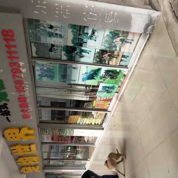 宠物世界:上饶市广丰区