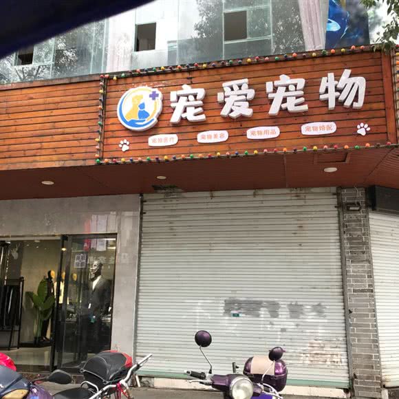 宠爱宠物:上饶市玉山县