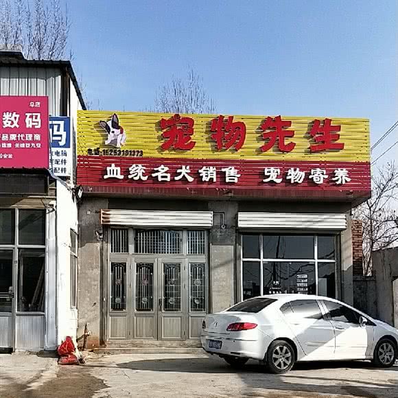 宠物先生:济南市市中区