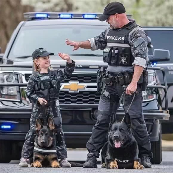 宠爱亿家训犬服务中心:济南市历城区