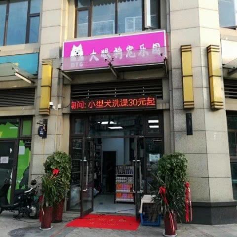 大眼狗狗狗乐园:济南市历城区