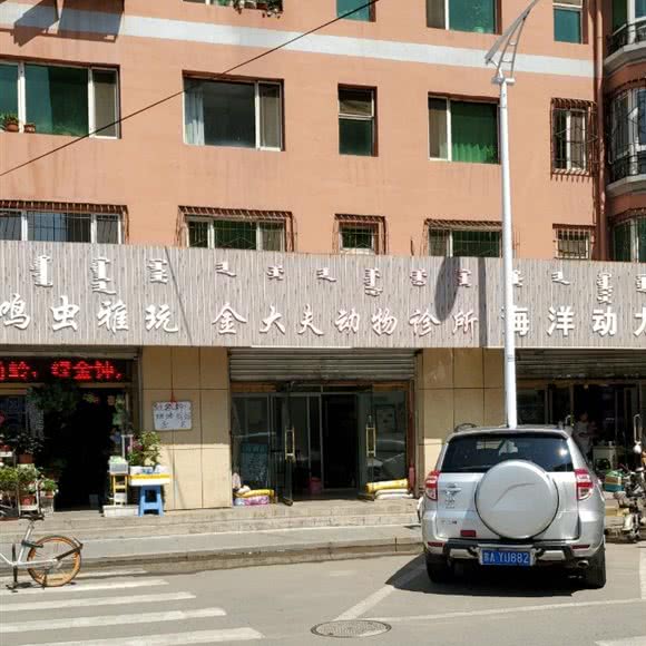 金大夫动物诊所:呼和浩特市回民区牛街附近
