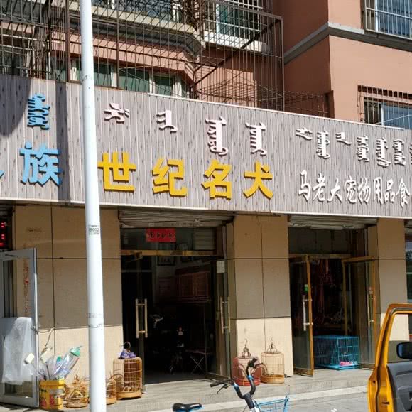 世纪名犬:呼和浩特市回民区附院附近