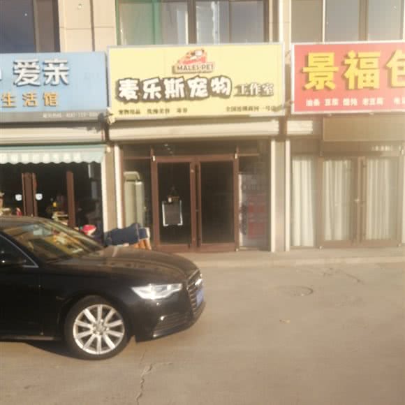 麦乐斯宠物工作室:济南市商河县