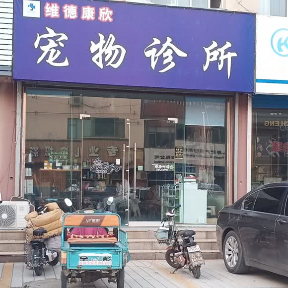 维德康欣宠物诊所:济南市商河县