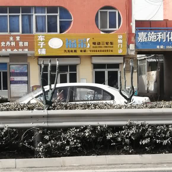 动物门诊:济南市商河县