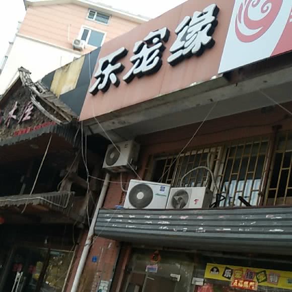 乐宠缘宠物:青岛市市南区