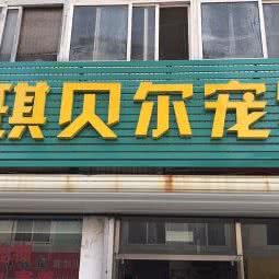 琪贝尔宠物:青岛市市南区