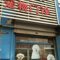 宠物情缘:青岛市市北区