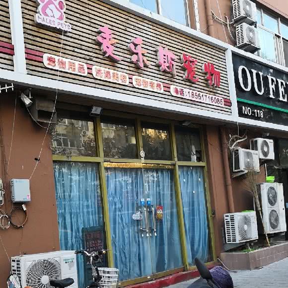 麦乐斯宠物:青岛市市北区