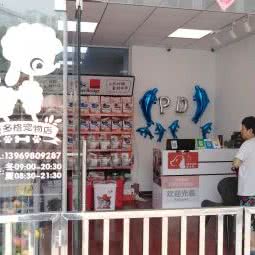 派多格宠物狗:青岛市市北区