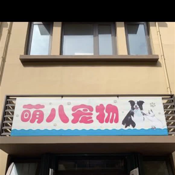萌八宠物:青岛市市北区