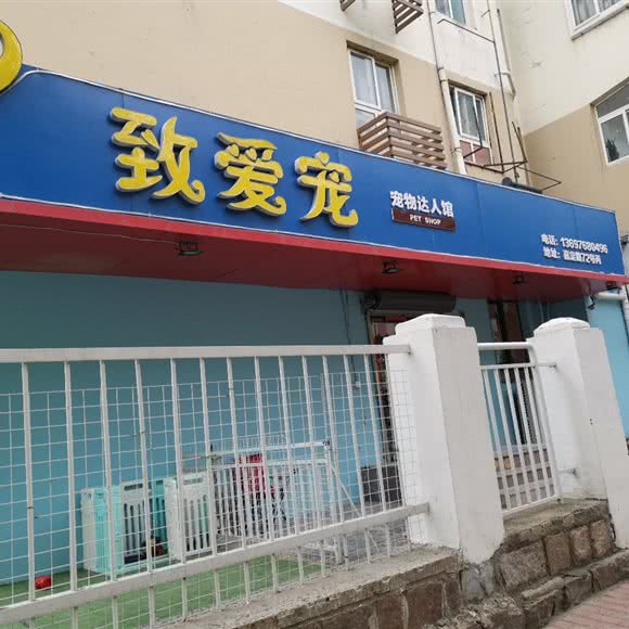 名猫出售:青岛市市北区