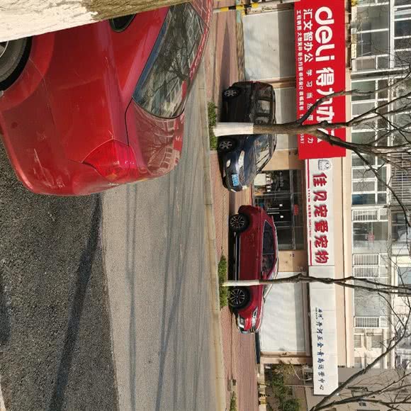 匠心怡宠 佳贝宠爱宠物:青岛市黄岛区