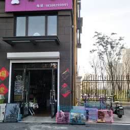 最爱夏天宠物会所:青岛市黄岛区