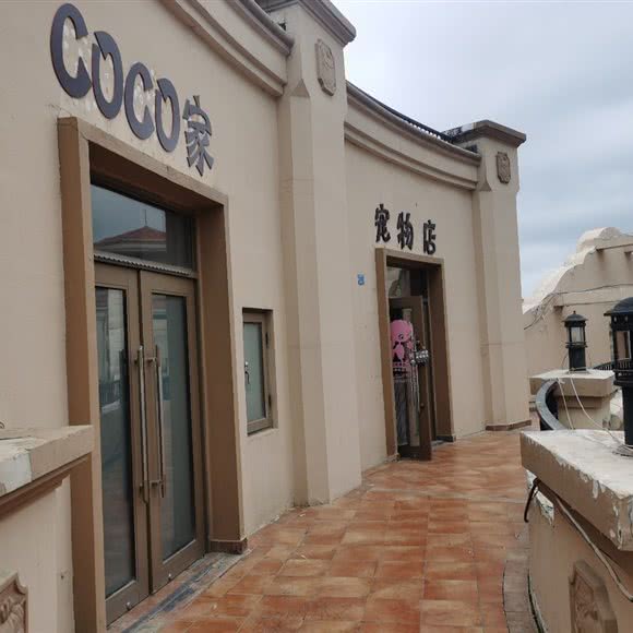 COCO家宠物店:青岛市李沧区