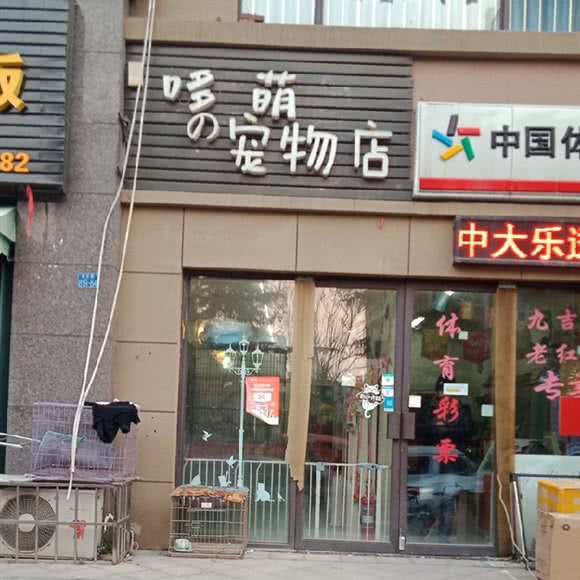 哆萌宠物店:青岛市李沧区