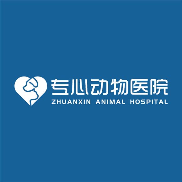埋首动物医院:青岛市李沧区