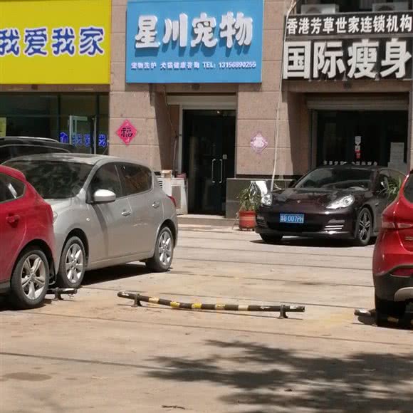 星川宠物:青岛市城阳区