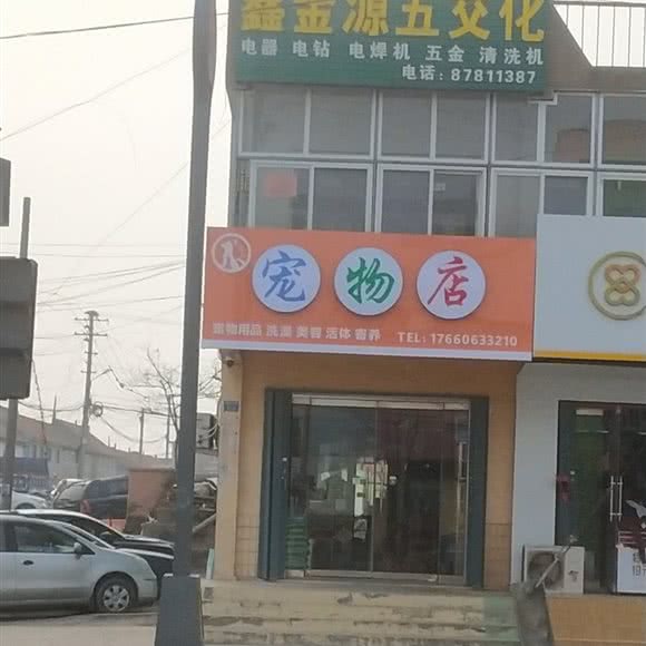 宠物店:青岛市城阳区