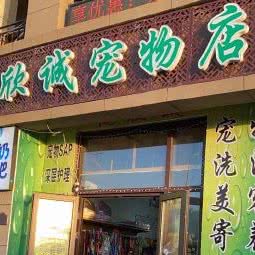 悦欣诚宠物乐园(悦欣诚宠物店):青岛市城阳区