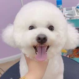 汤姆森宠物生活馆:青岛市城阳区