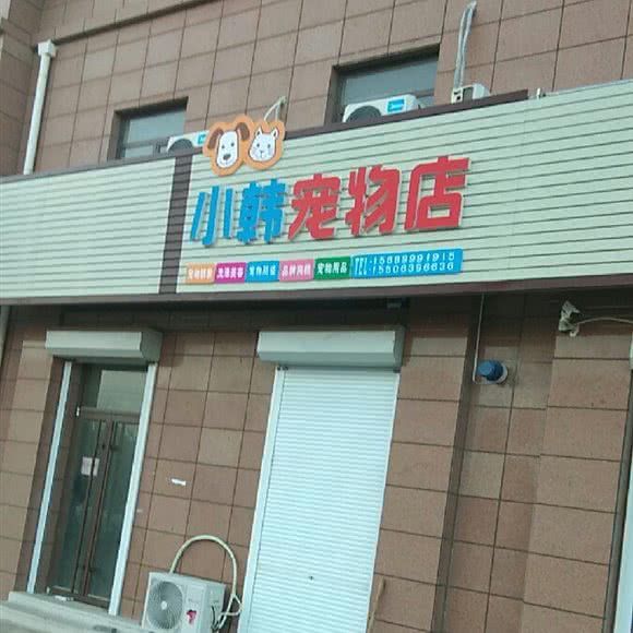 小韩宠物店:青岛市城阳区