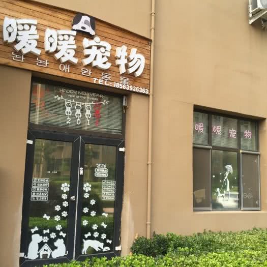 暖暖宠物:青岛市城阳区