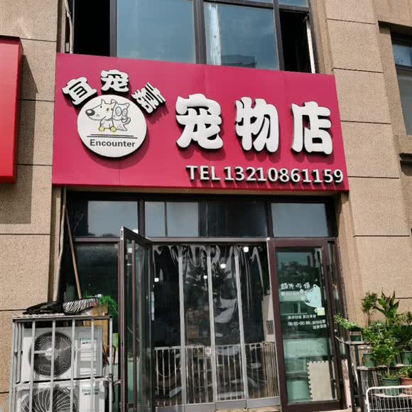 宜宠嘉宠物店:青岛市城阳区