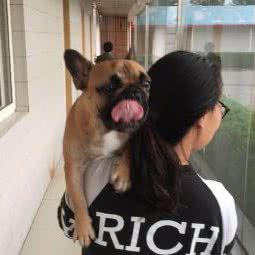 heaven专业宠物寄养:青岛市城阳区