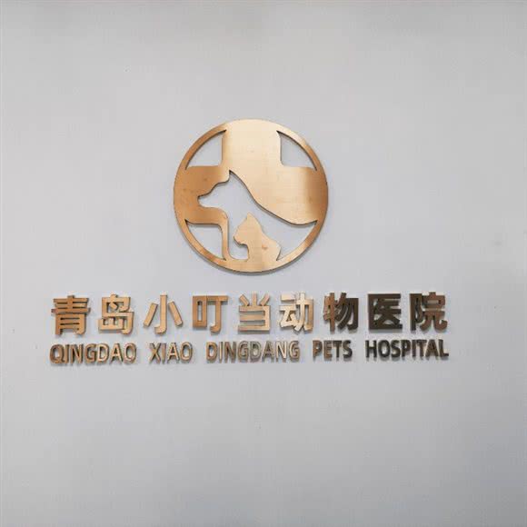 小叮当动物医院:青岛市城阳区