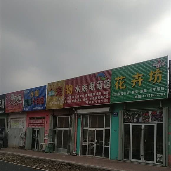 锐琳宠物店:青岛市即墨区