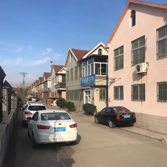 爱鑫鑫宠物:青岛市即墨区