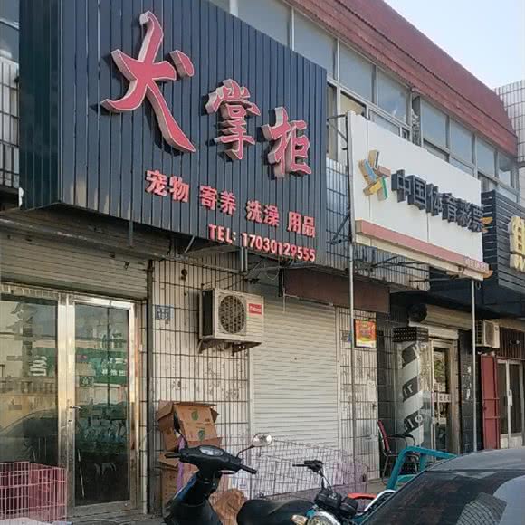 犬掌柜:青岛市即墨区