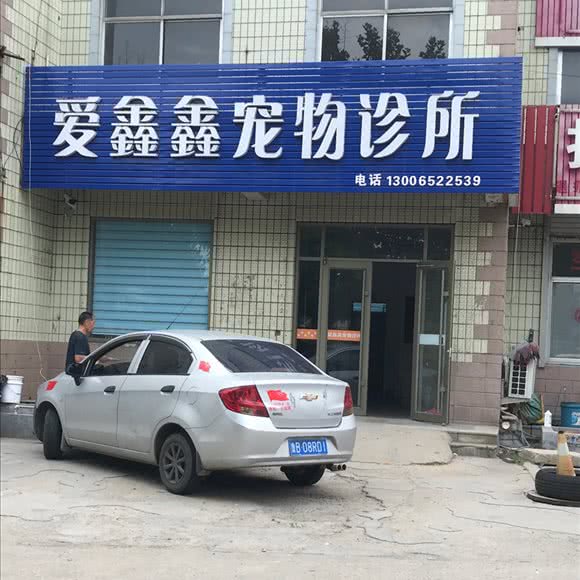 爱鑫鑫宠物诊所:青岛市即墨区