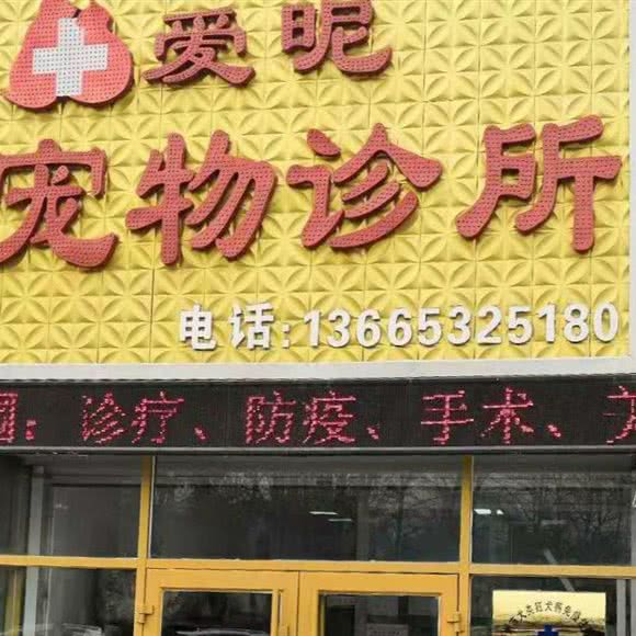 爱昵宠物医院(胶州总店):青岛市胶州市