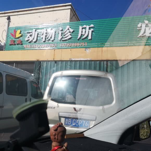 玉业动物诊所:青岛市胶州市