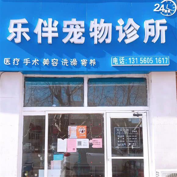 乐伴宠物医院:青岛市莱西市